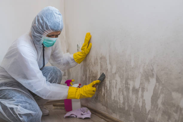 Best Air Quality Testing for Mold Spores  in Columbus, TX