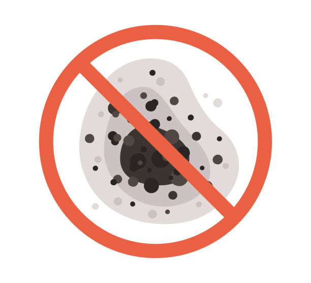 Mold Removal for HVAC Installations in Columbus, TX
