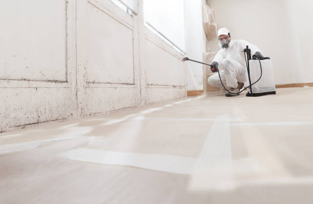 Best Mold Removal for HVAC Installations  in Columbus, TX